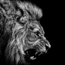 Jake Plummer - @Ja_akobplum - Twitter