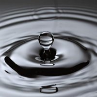 Endingquestionz9z (@endingquestion) 's Twitter Profile