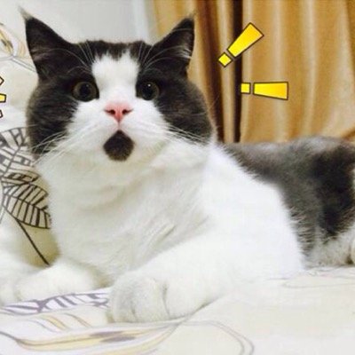 寒いのはあかん。冷えびえするわ