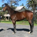 Adele Jackson - @actionjaks - Twitter