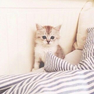 ‏‏‏أمل بلا عمل ككف بلا اصابع . يصل الي القمه لكن لايصافحها .