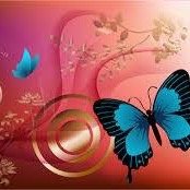 Accesbutterfly's profile picture. Venta de accesorios, es una tienda on-line, con una gran variedad de accesorios de origen hindú, con despacho a todo Chile previo depósito o transferencia.