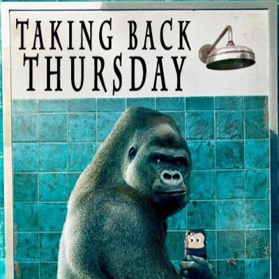 TakingBackT's profile picture. 