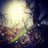 Dalton_Boyer97's profile image