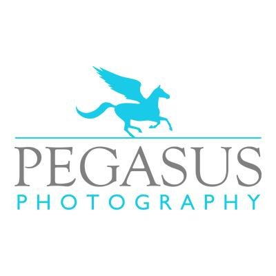 PegasusPhotoNZ's profile picture. We cover weddings/civil unions, family portraits, pets, band photography and all other events.