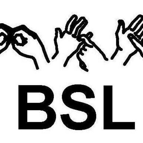 Chloe and Samantha's twitter account for our 2014 citizenship campaign to make people aware of British Sign Language and to get in taught in schools