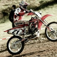 armando antonio (@semovi) 's Twitter Profile