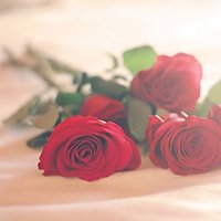 جّوٌجّيِ الَشُمًريِ (@goojee20141) 's Twitter Profile