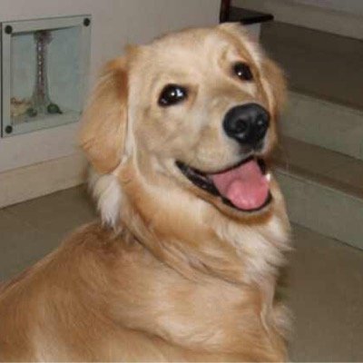 ShawnShao67's profile picture. 