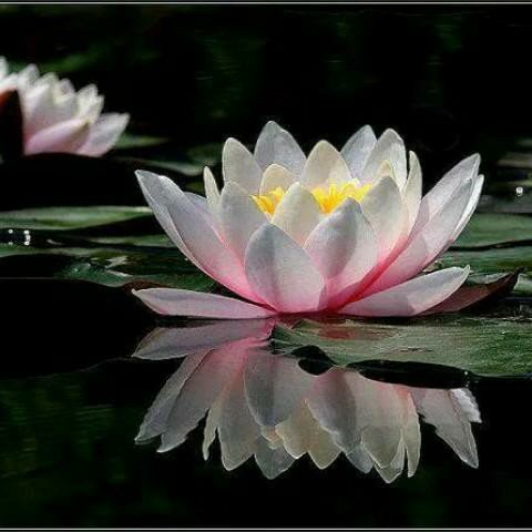 PoferC's profile picture. 