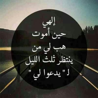 kammell3's profile picture. 