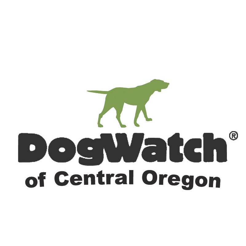 Freedom and safety for your dog!