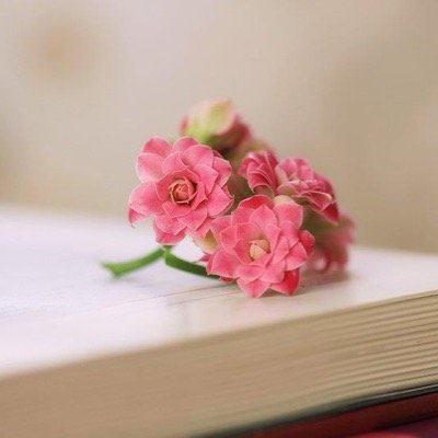 ‏أسكنت أحلامي زجاجات الرضا .. أودعتها في بحر الدعاء فـ أبحرت .. إن شاء ربي أن تعود لضفتي .. أو ربما هي خيرة إن غادرت ! 🌸