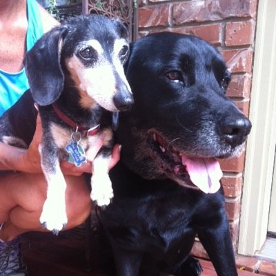 FRTSYT's profile picture. 