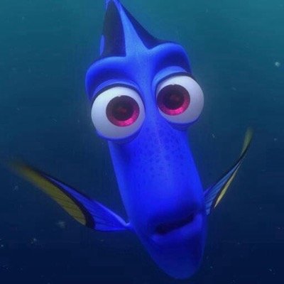 Official Page for Dory