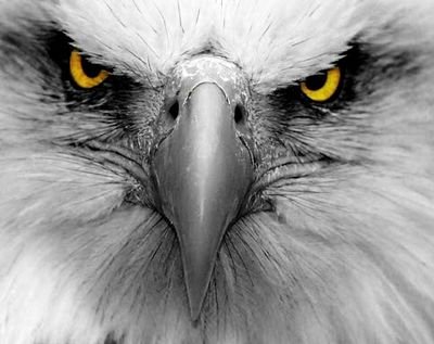 eagletrip's profile picture. An 'ole guy who loves his family and really enjoys Longmire. - A ham - k7lad