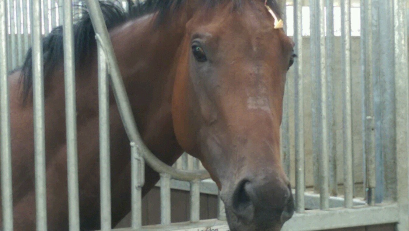 stevetaylor122's profile picture. 