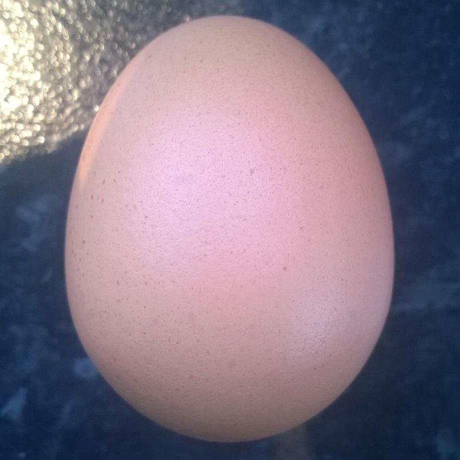 GigaUV's profile picture. 