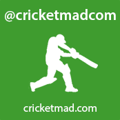 We love cricket, do you?