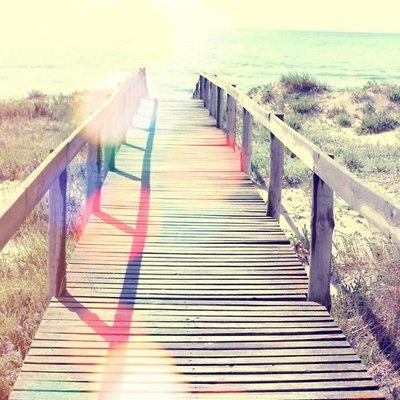 Profile Picture of D (@Denise_Jansen) on Twitter