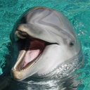 Della Phillips - @dellap02 - Twitter