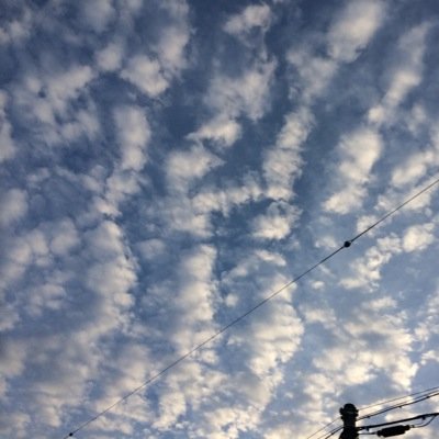冬眠