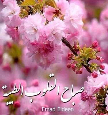 تراااحيب للجميع