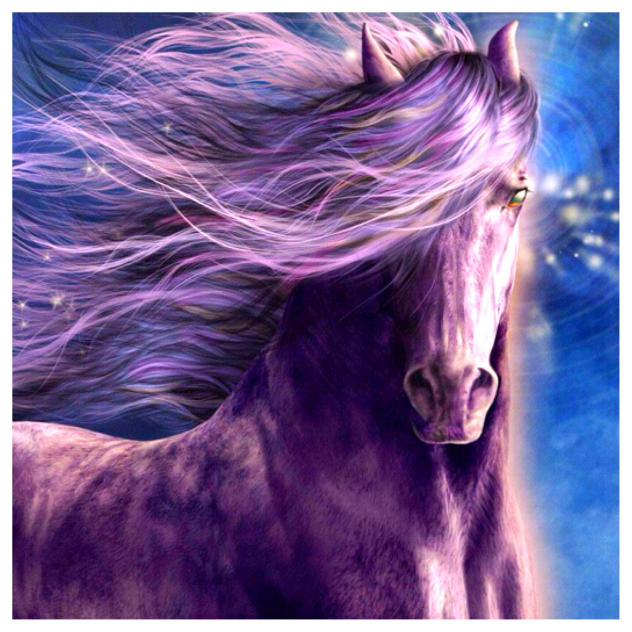 I am Dravis the magical horse. I was born on the 3rd ring of Neptune and travel the universe with my companion Nefseratu. Together we can fold space, etc.