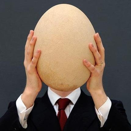 cryptotingz's profile picture. 