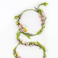 geertje van vliet (@geertjevanvliet) 's Twitter Profile