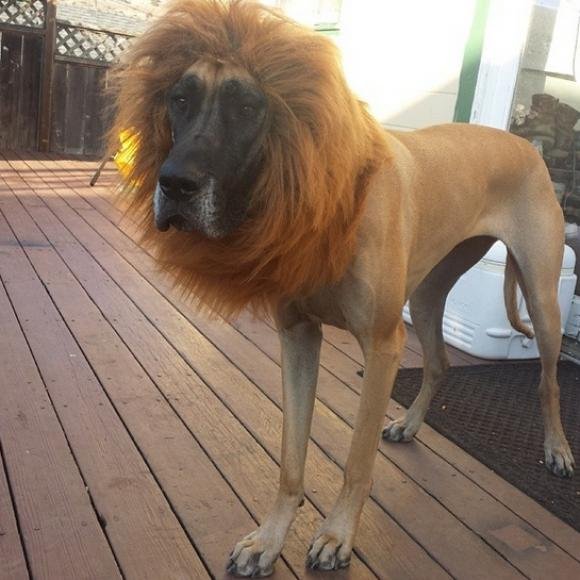 rastamondays's profile picture. Boom boom pow