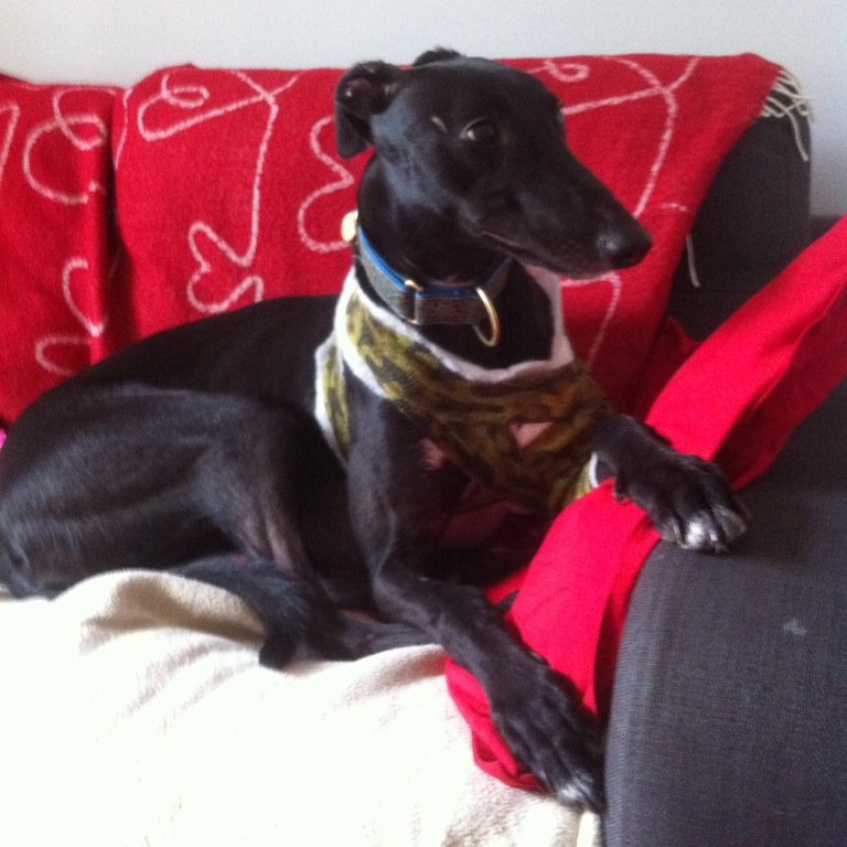 malika71's profile picture. 