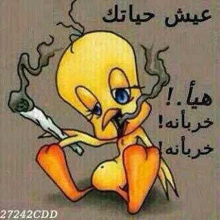 amraty30's profile picture. 