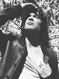 TarekMomentarek's profile picture. 