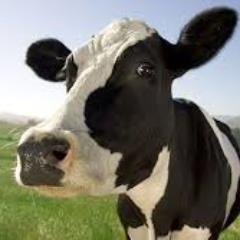 SWDairyServices Profile Picture