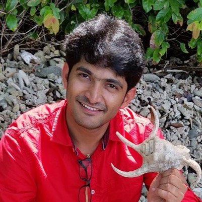 lnikhilready's profile picture. 