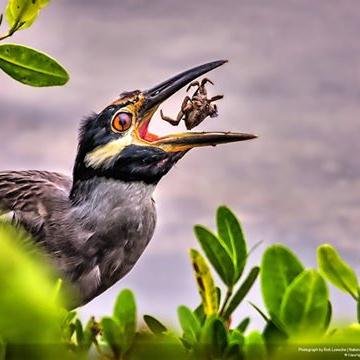 bavumilej's profile picture. 