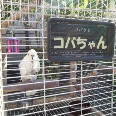 tmnetwork6's profile picture. 