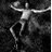 barry_jeffery's profile image