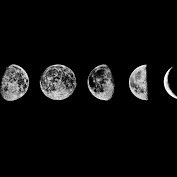 Girl_sunshine00's profile picture. Im an anon. Love your life and take every day as it comes, dont dwell in the past always think about the future❤️