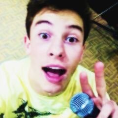 Quem precisa de uma vida quando se existe Shawn Mendes?