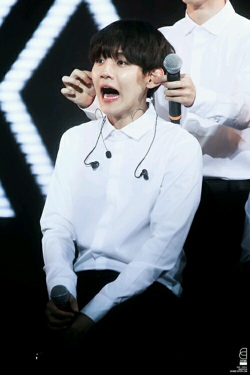 baekci Profile Picture