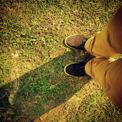 apekacad's profile picture. 