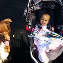 Leonard Huffman - @len_huffman - Twitter