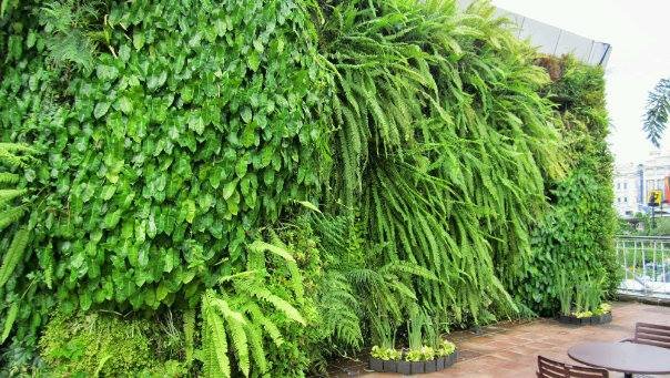 • Specialist vertikal garden • roofgarden • smart landscape & ornamental plant • let's make green your palace • @vertikalgarden 085213197982 • @A_nugroho_