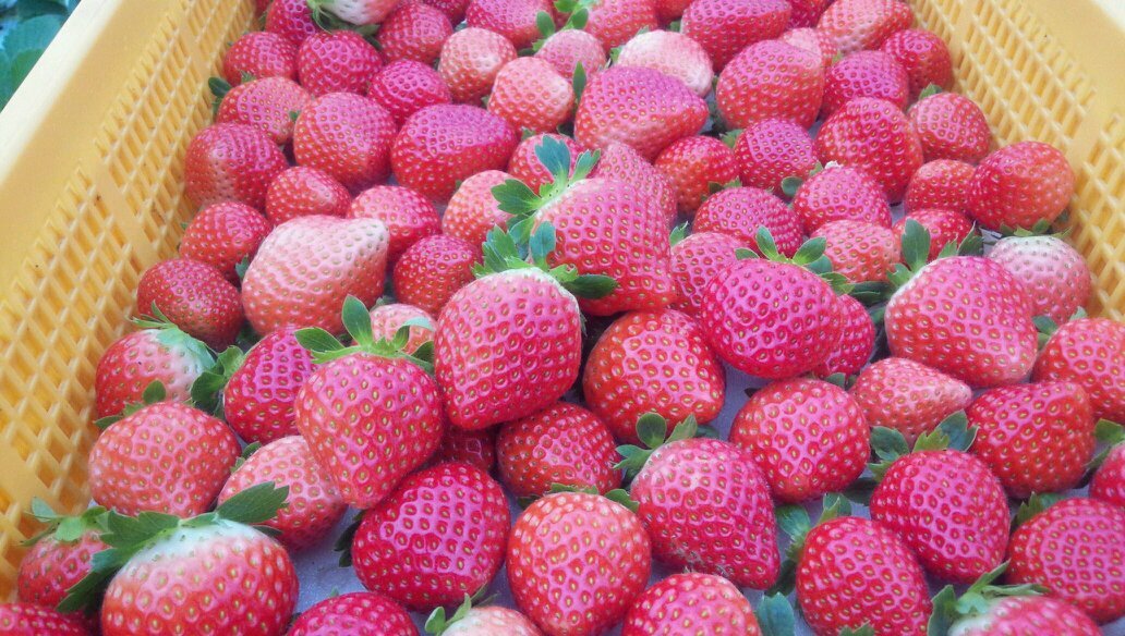 ii15manii's profile picture. 