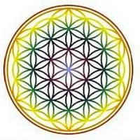 Lisa Elda - Love, Light & Joy ❤️🔆🦋 (@lisa_elda) 's Twitter Profile