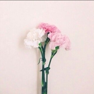 sa2468to's profile picture. لا اله الا انت سبحانك اني كنت من الظالمين ربي اسالك الجنه مع من نحب ..