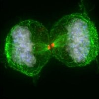 Outer Space | Inner Space (@osisdundee) 's Twitter Profile