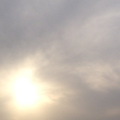 samala74703305 Profile Picture